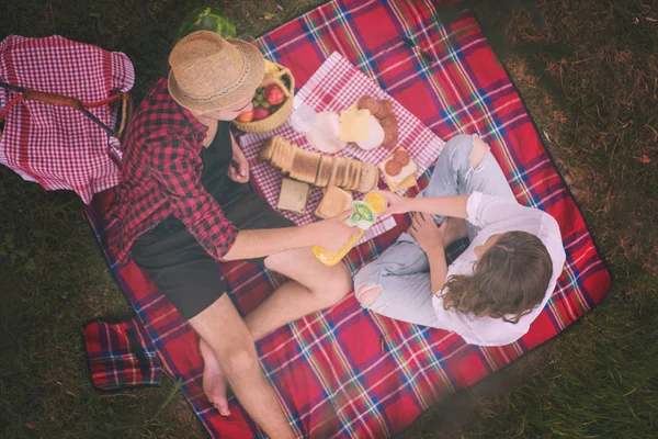 Casal Apaixonado Curtindo Piquenique Tempo Bebida Comida Bela Natureza Margem — Fotografia de Stock