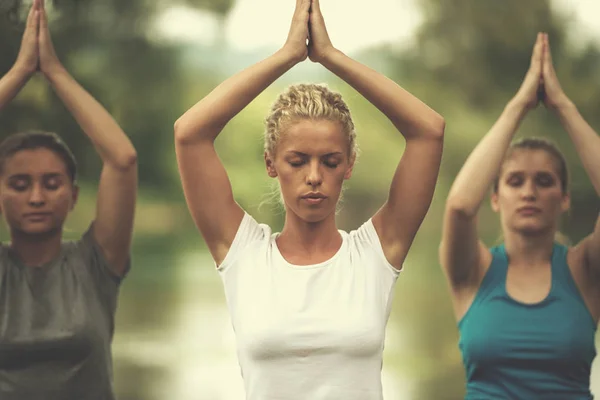 Groep Jonge Gezonde Vrouwen Ontspannen Terwijl Mediteren Yoga Doen Prachtige — Stockfoto