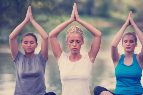 Groep Jonge Gezonde Vrouwen Ontspannen Terwijl Mediteren Yoga Doen Prachtige — Stockfoto