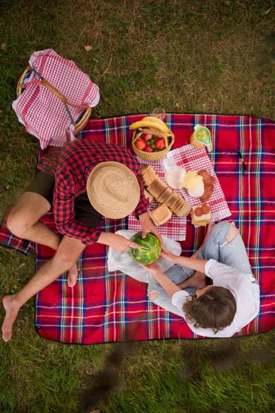 Casal Apaixonado Curtindo Piquenique Tempo Bebida Comida Bela Natureza Margem — Fotografia de Stock