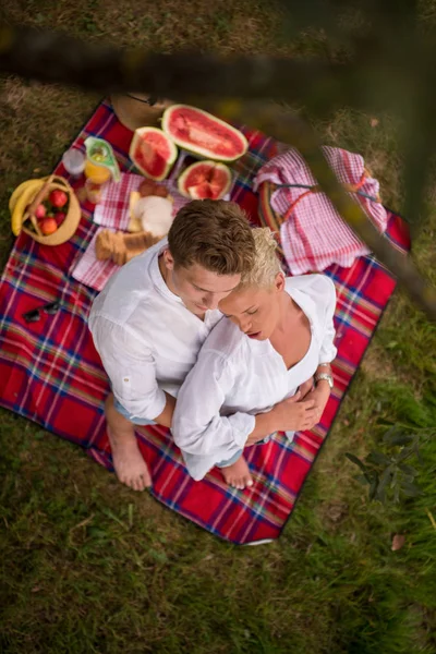 Pár Élvezi Piknik Idő Ital Élelmiszer Gyönyörű Természeti Környezetben River — Stock Fotó