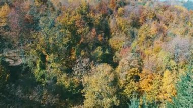 Hava güneşli kırmızı ve sarı renkli ağaçlar ile sonbaharda orman uçan 