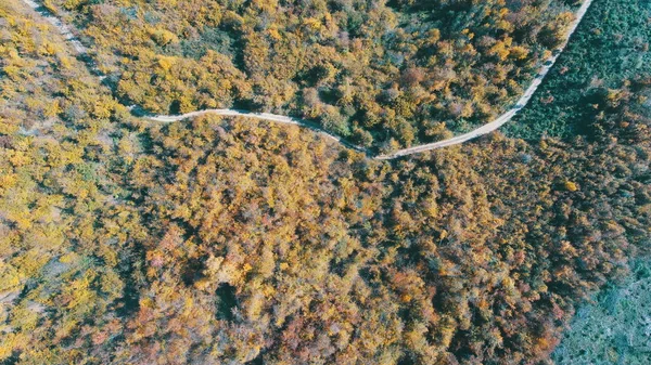 Vedere Aeriană Sus Care Zboară Deasupra Drumului Rural Curbat Pădure — Fotografie, imagine de stoc