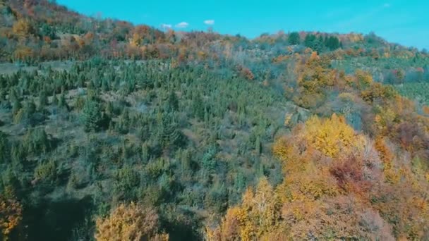 Aereo Che Vola Sopra Foresta Autunno Con Alberi Rossi Gialli — Video Stock