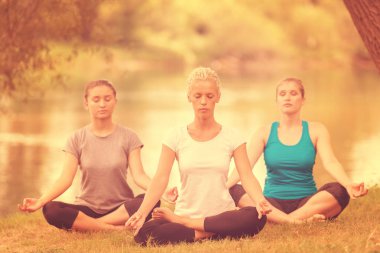 Grup Genç sağlıklı kadını Nehri kıyısında güzel doğada meditasyon ve yoga yaparken egzersiz yaparken rahatlatıcı