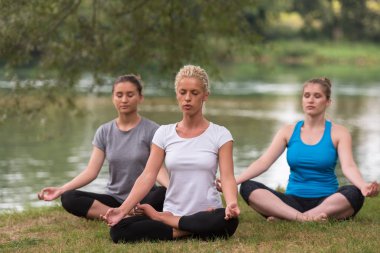 Grup Genç sağlıklı kadını Nehri kıyısında güzel doğada meditasyon ve yoga yaparken egzersiz yaparken rahatlatıcı