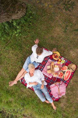 Piknik zamanı içki ve nehir banka en iyi görünüm güzel doğada yiyecek zevk aşık çift