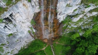 vahşi doğa orman yaz aylarında havadan görünümü 