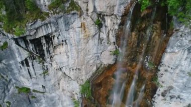 vahşi doğa orman yaz aylarında havadan görünümü 