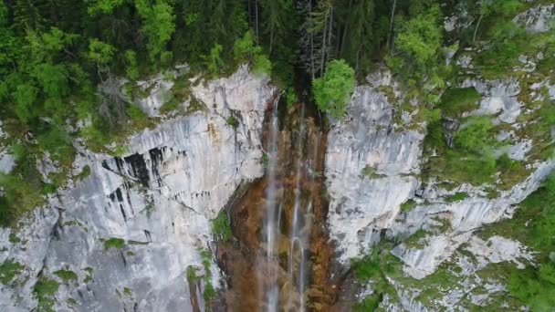 Αεροφωτογραφία Της Άγριας Φύσης Δάσος Καλοκαίρι — Αρχείο Βίντεο