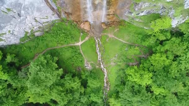 Luftaufnahme Des Wilden Naturwaldes Sommer — Stockvideo