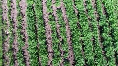 şelale peyzaj hava üstten görünüm seyahat sakin manzara arka planda yavaş hareket