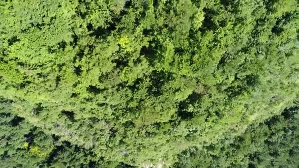 Водопад Пейзаж Воздушный Вид Сверху Путешествия Спокойный Пейзаж Фон Замедленной — стоковое видео