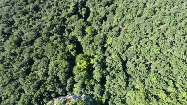 Cachoeira Paisagem Aérea Vista Superior Viajar Cenário Calmo Fundo Câmera — Vídeo de Stock