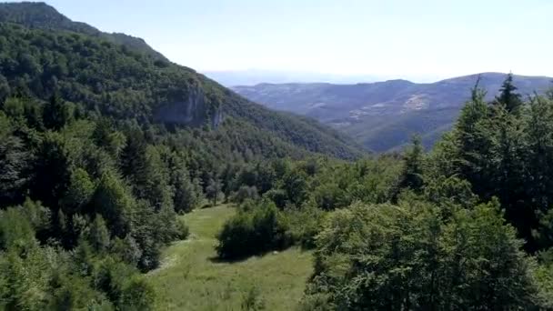 Vista Aérea Del Bosque Natural Salvaje Verano — Vídeo de stock