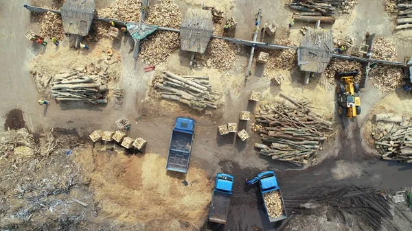 Aerial Top View Wood Industry Factory — Stock Photo, Image
