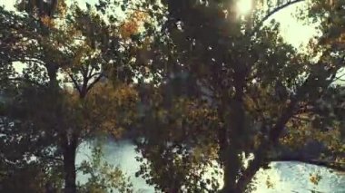 Enerji Santrali Elektrik Sanayi Fabrika arka plan üstten görünüm kirliliği kavramı hava üstten görünüm