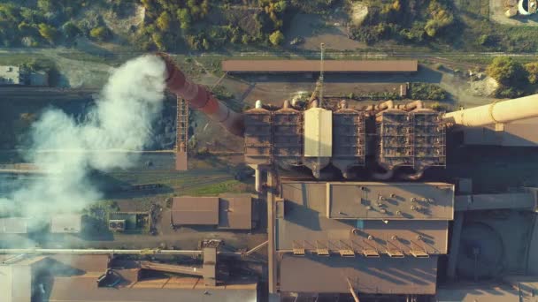Aerial Top View Wood Industry Factory — Stok Video