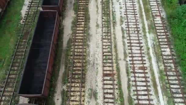 Luchtfoto Bovenaanzicht Van Houtindustrie Fabriek — Stockvideo