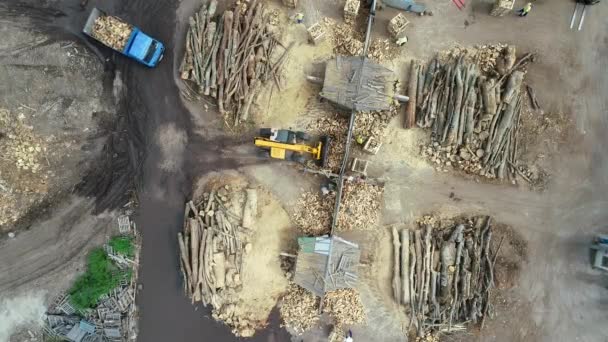 Aerial Top View Wood Industry Factory — Stock Video