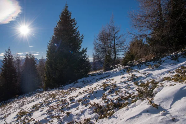 Montagne Invernali Bella Vista Panoramica Alpina Innevato Alpi Europee — Foto Stock