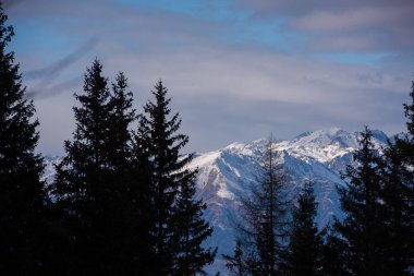 Kış dağlar Avrupa Alpleri alp panoramik görünüm kar maskeli güzel