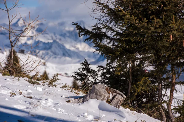 冬天的山美丽的高山全景雪盖帽欧洲高山 — 图库照片