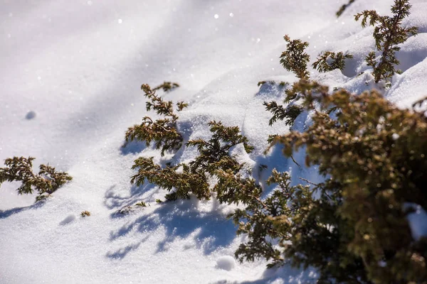 冬の山々 の美しいアルプスのパノラマ ビュー雪のヨーロッパ アルプス締めくくった — ストック写真