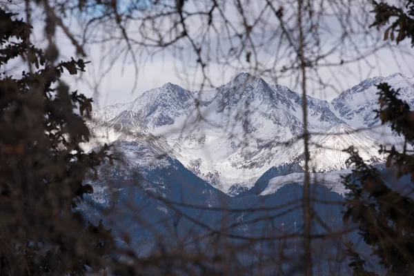 Montagne Invernali Bella Vista Panoramica Alpina Innevato Alpi Europee — Foto Stock