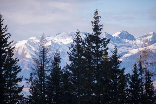 Winter Berge Schöne Alpine Aussicht Schneebedeckte Europäische Alpen — Stockfoto