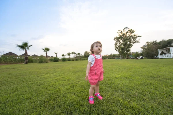 Oynak Sevimli Küçük Kız Neşeyle Geniş Bahçesinde Çimenlerin Üzerinde Çalışırken — Stok fotoğraf