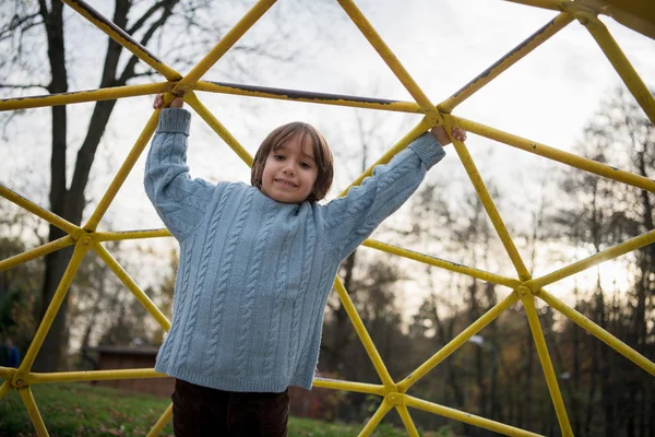 Netter Kleiner Junge Amüsiert Sich Herbsttag Spielplatz Park — Stockfoto