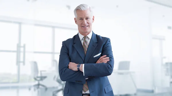 Retrato Empresário Sênior Frente Seu Escritório Moderno — Fotografia de Stock