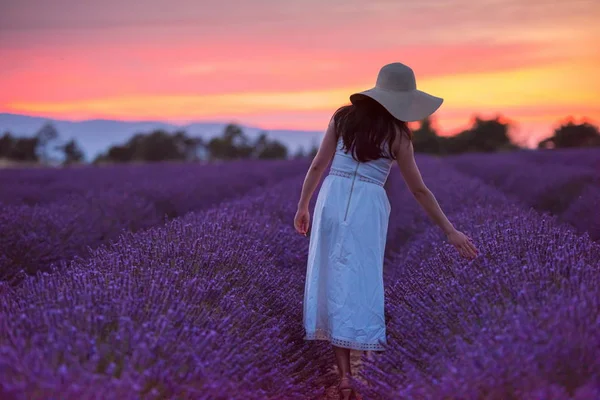 Retrato Mulher Lavanda Flor Fiel Pôr Sol Noite — Fotografia de Stock