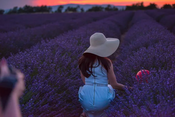 Portrét Ženy Polí Levandule Květ Době Západu Slunce Noční — Stock fotografie