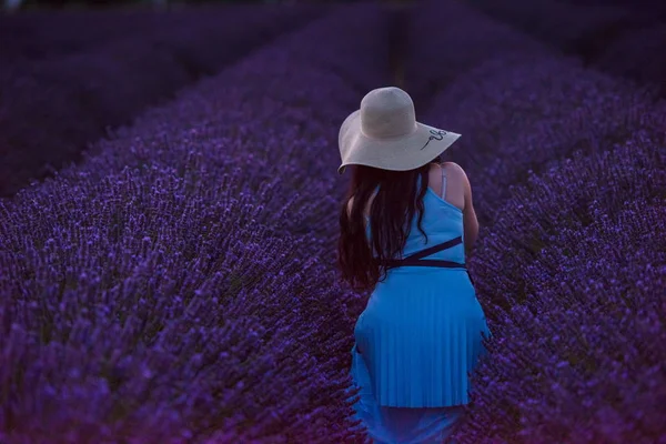 Retrato Mulher Lavanda Flor Fiel Pôr Sol Noite — Fotografia de Stock