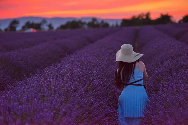 Retrato Mulher Lavanda Flor Fiel Pôr Sol Noite — Fotografia de Stock