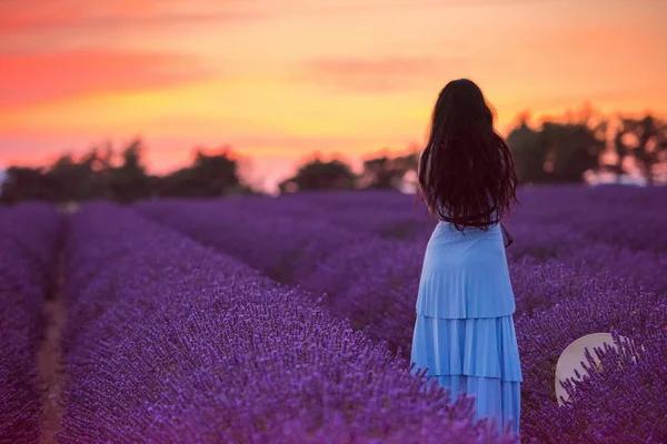 Portrait Femme Dans Champ Fleurs Lavande Coucher Soleil Nuit — Photo