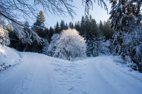 Wiejskiej Drodze Piękny Zimowy Dzień Świeżego Śniegu — Zdjęcie stockowe