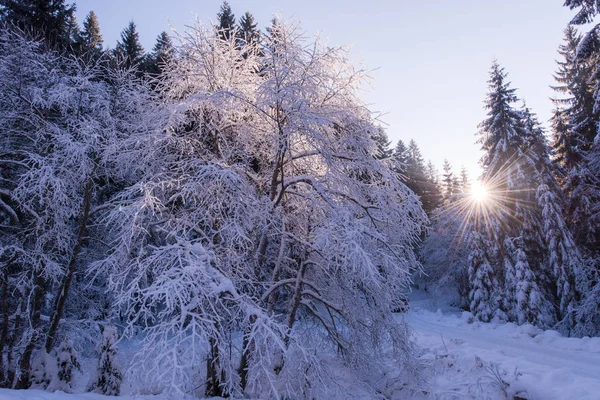 Venkovské Silnice Krásný Zimní Den Čerstvým Sněhem — Stock fotografie