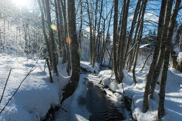 Lilla Bäcken Täckt Med Färsk Snö Och Vacker Solig Vinterdag — Stockfoto