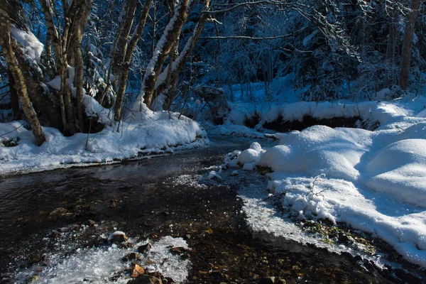 在阳光明媚的冬日 覆盖着新鲜的冰雪的小小溪 — 图库照片