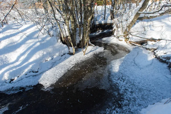 在阳光明媚的冬日 覆盖着新鲜的冰雪的小小溪 — 图库照片