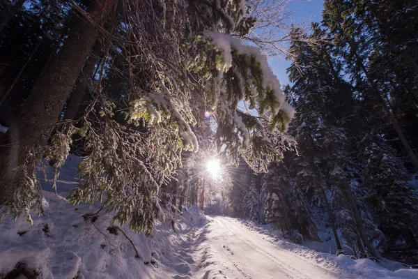 Camino Rural Hermoso Día Invierno Con Nieve Fresca —  Fotos de Stock