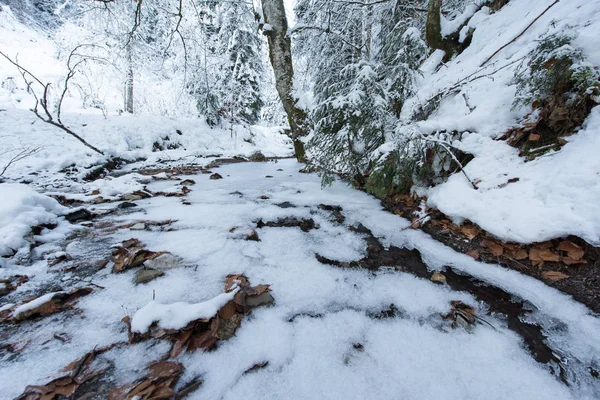 晴れた冬の日新鮮な美しい雪氷で覆われた小さなクリーク — ストック写真