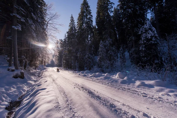 美しい冬の日 雪の田舎道 — ストック写真