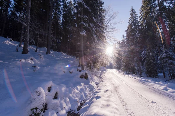Camino Rural Hermoso Día Invierno Con Nieve Fresca —  Fotos de Stock