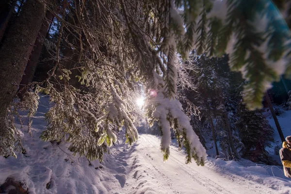 Lantlig Väg Vacker Vinterdag Med Nysnö — Stockfoto