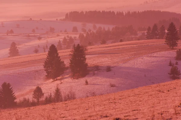 Vinter Landskap Natursköna Färsk Snö Mot Lila Violet Himmel Med — Stockfoto