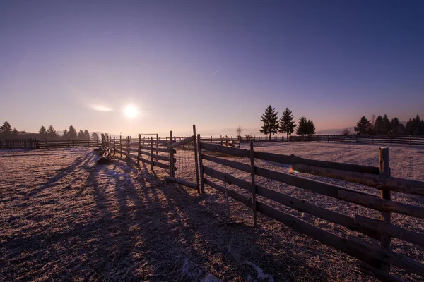 Winter Landschap Schilderachtige Verse Sneeuw Tegen Purple Violet Hemel Met — Stockfoto